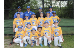 Acton-Boxborough Youth Baseball > Home